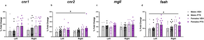 Levels of mRNA for cnr1 (A), cnr2 (B), mgll (C), and faah (D), respectively coding for CB1, CB2, MGL, and FAAH, in male and female in the amygdala of rats following intraperitoneal injection of VEH or PTX. Three-way ANOVA (factors: sex, treatment, side). Data expressed as mean ± S.E.M (n = 10 per group). a = significant effect of sex in ANOVA.