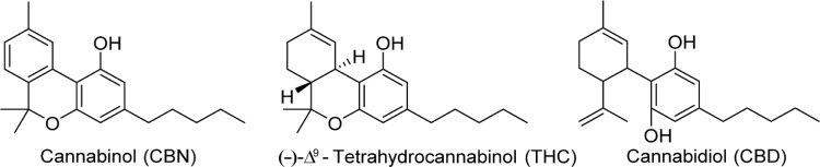 Structures of cannabinol, Δ9-THC, and cannabidiol.