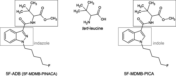 Structure of 5F-ADB (on the left) and 5F-MDMB-PICA (on the right) with an indazole or indole core, respectively, a fluorinated pentyl side chain, carboxamido linker and tert-leucine methyl ester bridge rest. Both synthetic cannabinoids were detected in the here presented spice sample