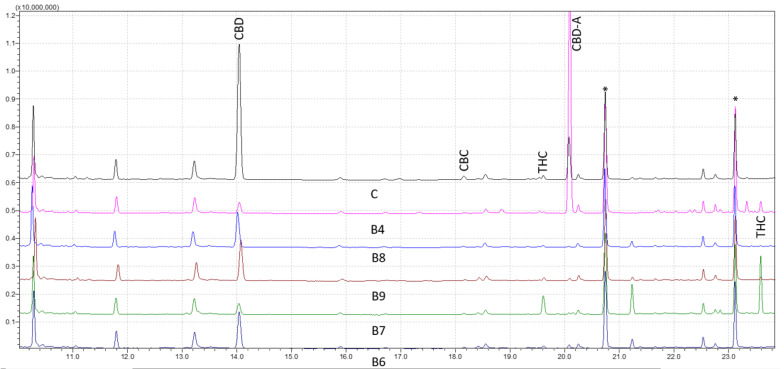 Chromatograms of five derivatized forensic samples analyzed through wide retention window (WRW) method by gas chromatography-mass spectrometry (GC–MS). Asterisks (*) represent trimethylsilyl esters (TMS) derivatives.
