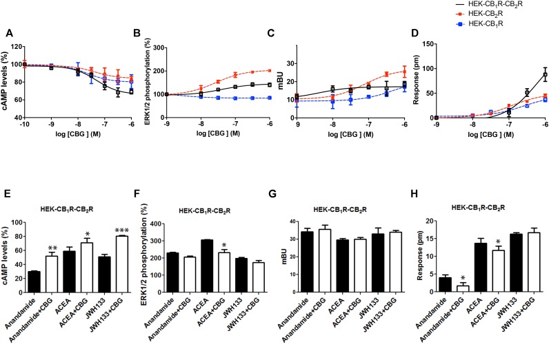 Effect of CBG in cells expressing CB1 and CB2 receptors. (A–D) Effect of CBG in HEK-293T cells transfected with 0.75 μg cDNA for CB1R and 1 μg cDNA for CB2R (A,B,D) or 1 μg cDNA for β-arrestin-Rluc, 0.75 μg cDNA for CB1R and 1 μg cDNA for CB2R-YFP (C). Dose–effect curves for cAMP production are expressed as % of levels obtained by 0.5 μM forskolin treatment (A). Dose-effect curves for ERK1/2 phosphorylation are expressed as % respect of basal levels (B). Dose-effect curves for β-arrestin recruitment (C) and label-free (D) assays are expressed, respectively, in mBRET units and pm. Dotted lines (red and blue) are the same than those shown in Figure 3 and serve as a reference for differential effects in cells coexpressing both receptors. Data are the mean ± SEM of a representative experiment in triplicates (n = 6). (E–H) HEK-293T cells transfected with 0.75 μg cDNA for CB1R and 1 μg cDNA for CB2R (E,F,H) or 1 μg cDNA for β-arrestin-Rluc, 0.75 μg cDNA for CB1R and 1 μg cDNA for CB2R-YFP (G) were treated with 100 nM AEA or a selective CB2R ligand (100 nM JWH133) in the absence (black bars) or presence (white bars) of 100 nM CBG. cAMP production (E) is expressed as % of levels obtained by 0.5 μM forskolin. ERK1/2 phosphorylation data are expressed as % respect of basal levels (F). Data for β-arrestin recruitment (G) and label-free (H) assays are expressed, respectively, in mBRET units and pm. Data represent the mean ± SEM of six different experiments performed with three replicates. One-way ANOVA and Bonferroni’s multiple comparison post hoc test were used for statistical analysis (∗p < 0.05, ∗∗p < 0.01, ∗∗∗p < 0.001; versus treatment with AEA, ACEA, or JWH133 alone).