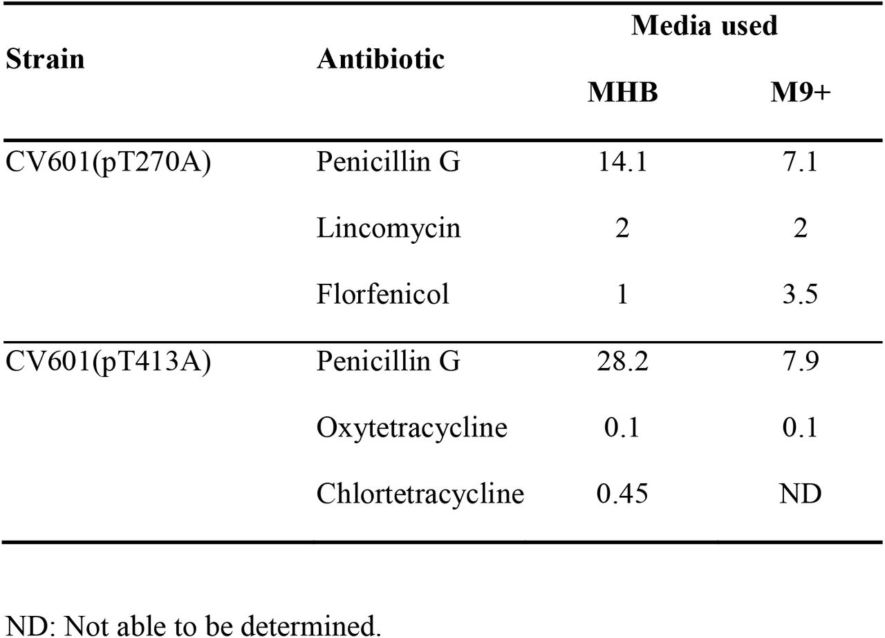 MSC values (mg/L) in two different media determined for penicillin G, lincomycin, florfenicol, oxytetracycline and chlortetracycline in single antibiotic tests