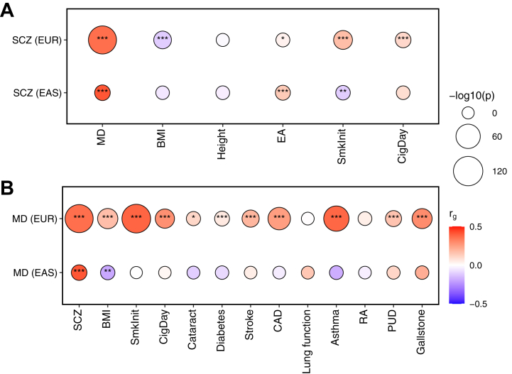 Genetic correlations between SCZ or MD and related phenotypes. (A) Genetic correlations with SCZ. (B) Genetic correlations with MD. Genetic correlations (rg) were tested by linkage disequilibrium score regression, using GWASs on SCZ/MD and phenotypes within the same ancestry. Mental disorder–phenotype pairs that were significant in the phenome-wide association analysis were tested here. Only phenotypes with publicly available GWASs in both EAS and EUR populations were included. The color of the circles indicates the correlation coefficient. The size of the circles is scaled to −log10(p value). ∗p < .05, ∗∗p < .01, ∗∗∗p < .001. BMI, body mass index; CAD, coronary artery disease; CigDay, cigarettes per day; EA, educational attainment; EAS, East Asian ancestry; EUR, European ancestry; GWAS, genome-wide association study; MD, major depression; PUD, peptic ulcer disease; RA, rheumatoid arthritis; SCZ, schizophrenia; SmkInit, smoking initiation.
