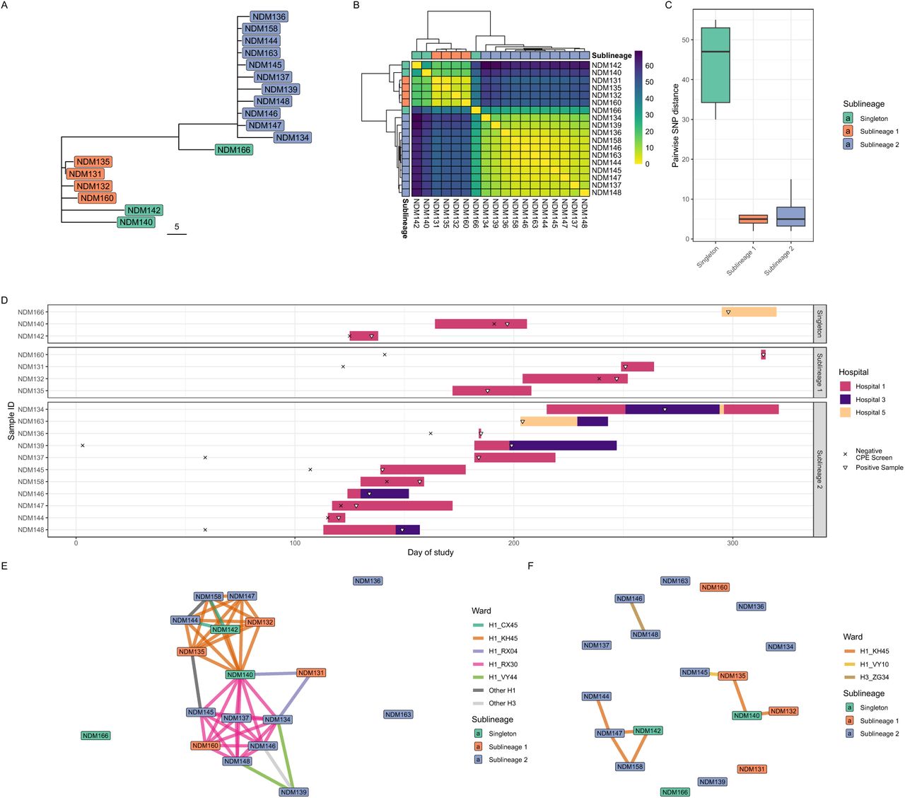 Exploring K. pneumoniae ST101 transmission.(A) Phylogenetic tree (midpoint rooted) derived from mapping reads to a the earliest ST101 in the study as reference; tree scale here is absolute SNPs; tip colours show rPinecone sublineages. (B) Hierarchically clustered SNP-distance heatmap. (C) Pairwise SNP distances for the three sublineages. (D) Patient admission timeline showing duration of hospital admission for all participants (coloured bars indicating which hospital), time of prior negative CPE screening swab (cross) and positive K. pneumoniae ST101 sample (white filled shape). (E-F) Weak (E) and strong (F) epidemiologic links between isolates. Edges represent link (coloured by ward where link took place) and nodes are isolates, coloured by rPinecone lineage.