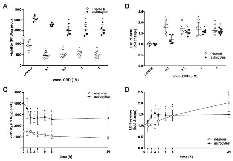 CBD decreases viability of rat cortical neurons and astrocytes in a concentration and time-dependent manner. (A) Cells were treated with 0.1, 0.5, 1, or 5 µM CBD for 24 h. Cell viability was evaluated by resazurin-based metabolic assay; data (relative fluorescence units-RFU) were normalized to protein concentration and shown as mean ± SD (n = 5). Two-way ANOVA [F4,40 = 5.278; p = 0.0016] followed by Tukey’s post hoc test, * p < 0.05 vs. control. (B) Cells were treated with 0.1, 0.5, 1, or 5 µM CBD for 24 h. Levels of non-viable cells were estimated by measuring LDH release; data were normalized to the mean value of the control and shown as mean ± SD (n = 5). Two-way ANOVA [F4,40 = 3.11; p = 0.0256] followed by Tukey’s post hoc test, * p < 0.05 vs. control. (C) Neurons were treated with 0.1 µM CBD and astrocytes were treated with 0.5 µM CBD for 1 to 24 h. Cell viability was evaluated by resazurin-based metabolic assay; data (relative fluorescence units-RFU) were normalized to protein concentration and shown as mean ± SD (n = 5). Two-way ANOVA [F7,64 = 2.886; p = 0.0110] followed by Tukey’s post hoc test, * p < 0.05 vs. control. (D) Neurons were treated with 0.1 µM CBD and astrocytes were treated with 0.5 µM CBD for 1 to 24 h. Levels of non-viable cells were estimated by measuring LDH release; data were normalized to the mean value of the control and shown as mean ± SD (n = 5). Two-way ANOVA [F7,64 = 9.8; p < 0.0001] followed by Tukey’s post hoc test, * p < 0.05 vs. control.