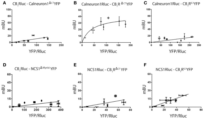 Determination of interacting domains for CB1R-calneuron-1 and CB1R-NCS1 complexes. BRET assays were performed in HEK-293T cells transfected with cDNA for CB1-RLuc (1.5 μg) and increasing amounts of cDNA for calneuron-1ΔCTYFP (1–3 μg) (A), cDNA for calneuron-1RLuc (3 μg) and increasing amounts of cDNA for CB1RΔCTYFP (0.25–1.5 μg) (B), cDNA for calneuron-1-RLuc (3 μg) and increasing amounts of cDNA for CB1RIL3YFP (0.5–2 μg) (C), cDNA for CB1-RLuc (1.5 μg) and increasing amounts of cDNA for NCS1ΔmyristoilYFP (1–3 μg) (D); cDNA for NCS1-RLuc (2.5 μg) and increasing amounts of cDNA for CB1RΔCTYFP (0.25–1.5 μg) (E) and cDNA for NCS1-RLuc (2.5 μg) and increasing amounts of cDNA for CB1RIL3YFP (0.5–2 μg) (F). Values are the mean ± S.E.M. of 8 different experiments in duplicates.