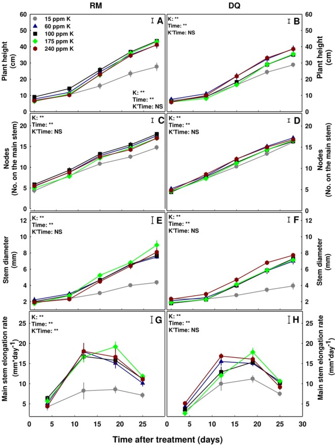 Effect of K nutrition on development of cannabis plants. Plant height (A, B), number of nodes on the main stem (C, D), stem diameter (E, F), and main stem elongation rate (G, H) of two medical cannabis cultivars, RM and DQ. Presented data are averages ± SE (n = 5). Results of two-way ANOVA indicated as **P < 0.05, F-test; NS, not significant P > 0.05, F-test. The bars represent the LSD between means at P ≤ 0.05. In the ANOVA results, K Time represents the interaction between K and time.