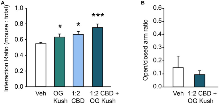 Combination of CBD oil and OG Kush terpenes have robust prosocial effects. (A) Bar chart showing the effect of OG Kush terpenes, CBD oil, or the combination on the social interaction ratio in the Three Chamber Test of Social Interaction in female mice. The combination and presumably the relative ratio of these volatile organic compounds is important for their prosocial effects. (B) Bar chart showing the effect of a ratio of 1:2 CBD to vehicle plus OG Kush terpenes on the ratio of time spent in the open versus closed arms of the elevated plus maze in female mice. * Indicates difference compared to the vehicle condition following Tukey’s posthoc comparisons; # indicates difference compared to vehicle from a priori paired contrasts, p < 0.05. ***Indicates difference compared to vehicle condition following Tukey’s posthoc comparisons, p < 0.001.