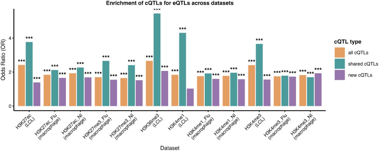 Enrichment of cQTLs detected by CACTI and CACTI-S for eQTLGen eQTLs across marks and cell types.Marks H3K36me3 and H3K27me3 were analyzed by CACTI-S, and the other marks were analyzed by CACTI. The bar plot displays the enrichment odds ratio (OR) from one-sided Fisher’s test. cQTLs are categorized as “All” (detected by CACTI/CACTI-S), “Shared” (detected by both CACTI/CACTI-S and single-peak mapping method), and “New” (detected by only CACTI/CACTI-S but not single-peak mapping method). Asterisks denote statistical significance of the enrichment, * p<0.05, ** p<0.01, *** p<0.001.