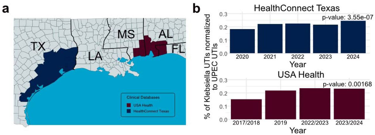Clinical data from HealthConnect Texas and USA Health showing the Klebsiella pneumoniae (Kp) urinary tract infection (UTI) incidence over time.a) Map depicting the geographic areas from which encounter data were obtained, derived from the HealthConnect Texas (blue) and USA Health (red) databases. b) Incidence of Kp UTIs compared to uropathogenic Escherichia coli (UPEC) UTIs between 2020 and 2024 for HealthConnect Texas and 2017 and 2024 for USA Health. Significance over time was determined using a Chi-square test.