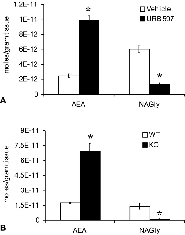 Production of N-arachidonoyl ethanolamine (AEA) and N-arachidonoyl glycine (NAGly) in whole brain. A) Levels of AEA and NAGly in rat whole brain two hours after vehicle (white bar) or 3 μg/kg URB 597 (black bar). * p ≤ 0.05 B) Levels of AEA and NAGly in mouse whole brain of WT (white bar) or FAAH KO (black bar). * p ≤ 0.05.