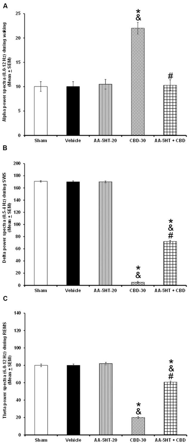 Effects on EEG power spectra (alpha [for W: α = 8–12 Hz], delta [for SWS: Δ = 0.5–4.0 Hz] or theta [for REMS: Θ = 6.0–12.0 Hz]) after experimental trials: Sham, vehicle, AA-5-HT (20 mg/Kg; i.p.), cannabidiol (CBD; 30 mg/Kg; i.p.) or AA-5-HT (20 mg/Kg; i.p.) and 15 min CBD (30 mg/Kg; i.p.) at the beginning of the lights-on period. Administration of AA-5-HT caused no statistical changes in power spectra. However, CBD (30 mg/Kg; i.p.) increased alpha, and decreased delta as well as theta power. Moreover, administration of AA-5HT before injection of CBD prevented the changes caused by the cannabinoid in alpha and partially delta and theta power spectra spectra (A–C, respectively; Mean ± SEM ∗ vs. Sham/Vehicle, P < 0.05; & vs. AA-5-HT-20, P < 0.05; # vs. CBD-30, P < 0.05). Abbreviations: Cannabidiol 30 mg/Kg, i.p. (CBD-30), AA-5-HT-20 mg/Kg (AA-5-HT-20).