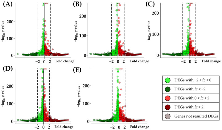 In the volcano plots are reported all the genes inspected in each comparison. Each volcano is marked with different letters that indicate the different comparisons performed: (A) for CTRL vs. CBN 5 µM, (B) for CTRL vs. CBN 10 µM, (C) for CTRL vs. CBN 20 µM, (D) for CTRL vs. CBN 50 µM, and (E) for CTRL vs. CBN 100 µM. In the x axis is reported the fold change while in the y axis is reported the −log10 q-value with a horizontal line that marks the statistical threshold 0.05.