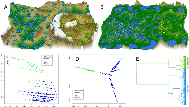 Clustering of subjects based on lipid marker serum concentrations, obtained using unsupervised machine learning (A–D) or classical Ward clustering (E). (A) U-matrix visualization of distance based structures of the serum concentration of d = 43 markers observed in n = 102 multiple sclerosis patients (green dots) and n = 301 healthy subjects (blue dots). The figure has been obtained using a projection of the data points onto a toroid grid of 4,000 neurons where opposite edges are connected. The dots represent the so-called “best matching units” (BMU), i.e., neurons on the grid that after ESOM learning carried the vector that was most similar to a subjects’ data vector. The U-matrix visualization was colored as a top view of a topographic map with brown (up to snow-covered) heights and green valleys with blue lakes. Watersheds indicate borderlines between different clusters (marked with a light blue dotted line). Superimposing the clinical diagnosis almost completely coincided with the cluster separation (accuracy 98%). (B) U-matrix visualization of the data structure found via a projection onto a toroid neuronal grid using a parameter-free polar swarm, Pswarm consisting of so-called DataBots, which self-organizing artificial “life forms” that carry vectors of the biological lipid marker concentrations. Superimposing the clinical diagnosis almost completely coincided with the cluster separation. (C,D) Minimum Curvilinear Embedding53 using the Euclidean distance matrix of the preprocessed data for kernel building and both, the non-centered (C) and the centered (D) versions of the method. Agreement with the clinical diagnosis can be concluded from the color-coded separation of the data. (E) Cluster structure found using classical Ward clustering. Agreement with the clinical diagnosis was slightly lower than with the machine-learned methods. The figure has been created using the R software package (version 3.4.2 for Linux; http://CRAN.R-project.org/)43. Specifically, for panel A our R package “Umatrix” (https://cran.r-project.org/package=Umatrix)56 was used, for panel B the library “DatabionicSwarm” (M. Thrun, https://cran.r-project.org/package=DatabionicSwarm)52, for panels C and D a script downloaded from https://sites.google.com/site/carlovittoriocannistraci/5-datasets-and-matlab-code/minimum-curvilinearity-ii-april-2012 and the library “igraph” (Csárdi G. https://cran.r-project.org/web/packages/igraph/index.html)62 was used, and for panel E the R library “ape”(https://cran.r-project.org/package=ape)105 was used.