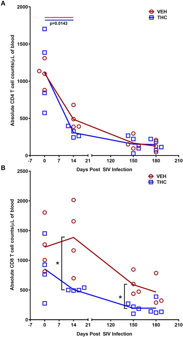Delta-9-tetrahydrocannabinol (Δ9-THC) administration inhibited CD8+ T cell expansion in peripheral blood during chronic SIV infection. Absolute counts revealed that Delta-9-Tetrahydrocannabinol (Δ9-THC) administration did not prevent depletion of CD4+ T cells (A) but significantly reduced total CD8+ T cell numbers (B) in peripheral blood at 14- and 150-days post-SIV infection. Note that CD8+ T cell data from only three VEH/SIV rhesus macaques were available at 180 days post-infection. Open red circles- VEH/SIV, Open blue squares- THC/SIV. Horizontal red and blue lines with P-values denote comparisons between time points within the VEH/SIV and THC/SIV groups, respectively. Left black brackets with an asterisk indicate statistical significance (p = 0.0143) between the VEH/SIV and THC/SIV groups for a given time point. Connecting blue and red lines (A,B) denote mean values of the respective population in the THC/SIV and VEH/SIV groups, respectively. Flow cytometry analysis to determine the effect of Δ9-THC on peripheral blood T cell dynamics in SIV-infected rhesus macaques was performed once with three to four individual animals as biological replicates per group. Flow cytometry data were analyzed using linear mixed models with immune-marker outcomes being dependent variables, and treatment status (VEH vs. Δ9-THC) and days since the start of treatment (0, 14, 150, 180) being dependent variables with fixed effects. Differences between two post-infection time points were analyzed using the Mann-Whitney U-test employing the Prism v5 software (GraphPad software). A p-value ≤ 0.05 was considered significant.