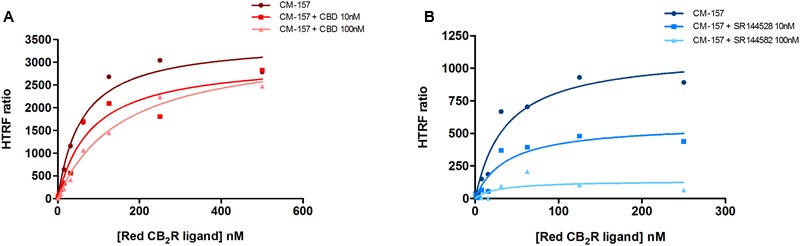 Saturation curves measured by HTRF. Saturation binding experiments of fluorescent CB2R ligand (CM-157) in HEK-293T cells transiently transfected with SNAP-CB2R in the absence or presence of 10 nM (squares) or 100 nM (triangles) CBD (A), or in the absence or presence of 10 nM (squares) or 100 nM (triangles) SR144528 (B). Specific binding signals were calculated by subtracting the non-specific signal determined in the presence of 100 μM unlabeled CB2R ligand. Data represent the mean ± SEM of a representative experiment (n = 4). HTRF ratio = (665 nm acceptor signal/620 nm donor signal) × 10,000.