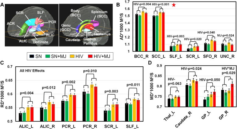Group differences in DTI diffusivities. A Regions of interest automatically segmented for DTI measures that showed most of the significant HIV or MJ main effects. B Regardless of MJ use status, HIV+ group showed higher axial diffusivity (AD) in the right body of the corpus callosum (BCC), left splenium of the corpus callosum (SCC), left superior longitudinal fasciculus (SLF), left superior corona radiata (SCR), and right superior fronto-occipital fasciculus (SFO), than SN participants. However, regardless of HIV serostatus, MJ users had lower AD in the right uncinate fasciculus (UNC, p = 0.024) than nonusers. C Compared to SN controls and regardless of MJ use status, HIV+ had higher radial diffusivity (RD) than SN participants in the bilateral anterior limb of the internal capsule (ALIC), bilateral posterior corona radiata (PCR), left SCR, and left SLF, as well as 6 other brain regions (see Table 3). D Regardless of MJ use status, HIV+ group had higher mean diffusivity (MD) in the right caudate, left and right globus pallidus (GP), and left thalamus than SN groups. In additional, HIV-by-marijuana use showed an interaction effect in the right GP (p = 0.029); while HIV + MJ users had higher MD than HIV nonusers, SN-MJ users had lower MD than SN nonusers. SN, HIV-seronegative nonuser group; SN + MJ, HIV-seronegative marijuana user group; HIV, HIV-seropositive nonuser group; HIV + MJ, HIV-seropositive marijuana user group. Red star: p value remained significant after Holm-Bonferroni correction for multiple comparisons