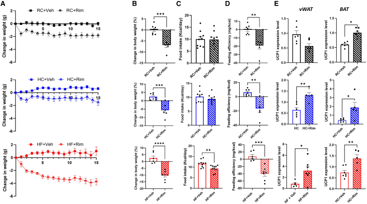 The effect of rimonabant on measurements of energy balance across different diet groups(A) Weight change in (g) over time in (days).(B) Percent (%) change from baseline in total body weight at day 15.(C) Average daily food intake in (Kcal/day) measured during week 1 (over 3 days period).(D) Feeding efficiency displayed in (mg of weight change/Kcal consumed) over 15 days.(E) UCP1 mRNA expression in visceral white adipose tissue (vWAT) and brown adipose tissue (BAT) of C57BL/6J male mice placed on regular chow (RC), high-carbohydrate (HC), and high-fat (HF) diets and given vehicle vs. rimonabant for 15 days.All results are presented as mean ± SEM (error bars). n = 5–7. Student’s t test was used to compare means of each diet intervention. Statistical significances are denoted with asterisks as follows: ∗p ≤ 0.05, ∗∗p ≤ 0.01, ∗∗∗p ≤ 0.001; and ∗∗∗∗p ≤ 0.0001.