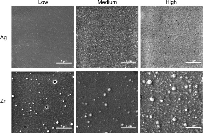 FEG-SEM images of Ag and Zn coatings deposited at the three different concentrations tested (low (L), medium (M), and high (H))
