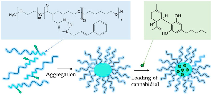 Sketch of the formation of cannabidiol-loaded micelles via aggregation of PEO-b-P(CyCL-co-CL) diblock copolymer in water.