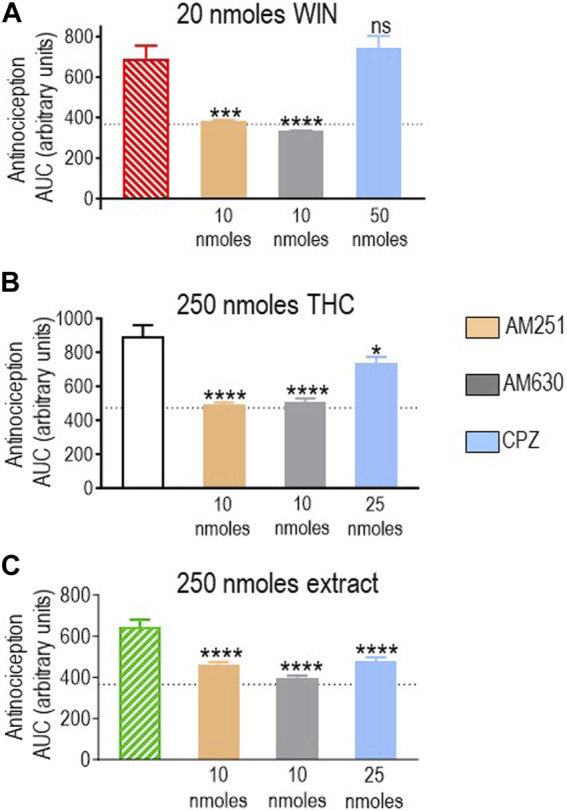 Effects of CB1R/CB2R antagonists and TRPV1 channel blockers on the anti-allodynic effects induced by WIN 55,212-2 (20 nmoles), pure THC, and the type II extract (250 nmoles). One week after induction of diabetes by STZ and 30 min before i.t. administration of (A) WIN 55,212-2, (B) THC, or (C) the balanced extract, rats were pre-injected (i.t.) with the selective CB1R antagonist AM251 (orange), the selective CB2R antagonist AM630 (gray), or the selective TRPV1 channel blocker capsazepine (sky blue bar), at the doses indicated in the figure. Histograms show AUC values of withdrawal thresholds integrated over 120 min and are expressed in arbitrary units. They correspond to the mean ± SEM, n = 6. Statistical comparisons were carried out using a one-way ANOVA followed by Dunnett’s multiple comparison test. *p < 0.05, ***p < 0.001, and ****p < 0.0001 comparing antagonist vs. no antagonist pretreatment. Dotted lines indicate AUC values obtained in vehicle-injected animals, as detailed in the Materials and Methods section.
