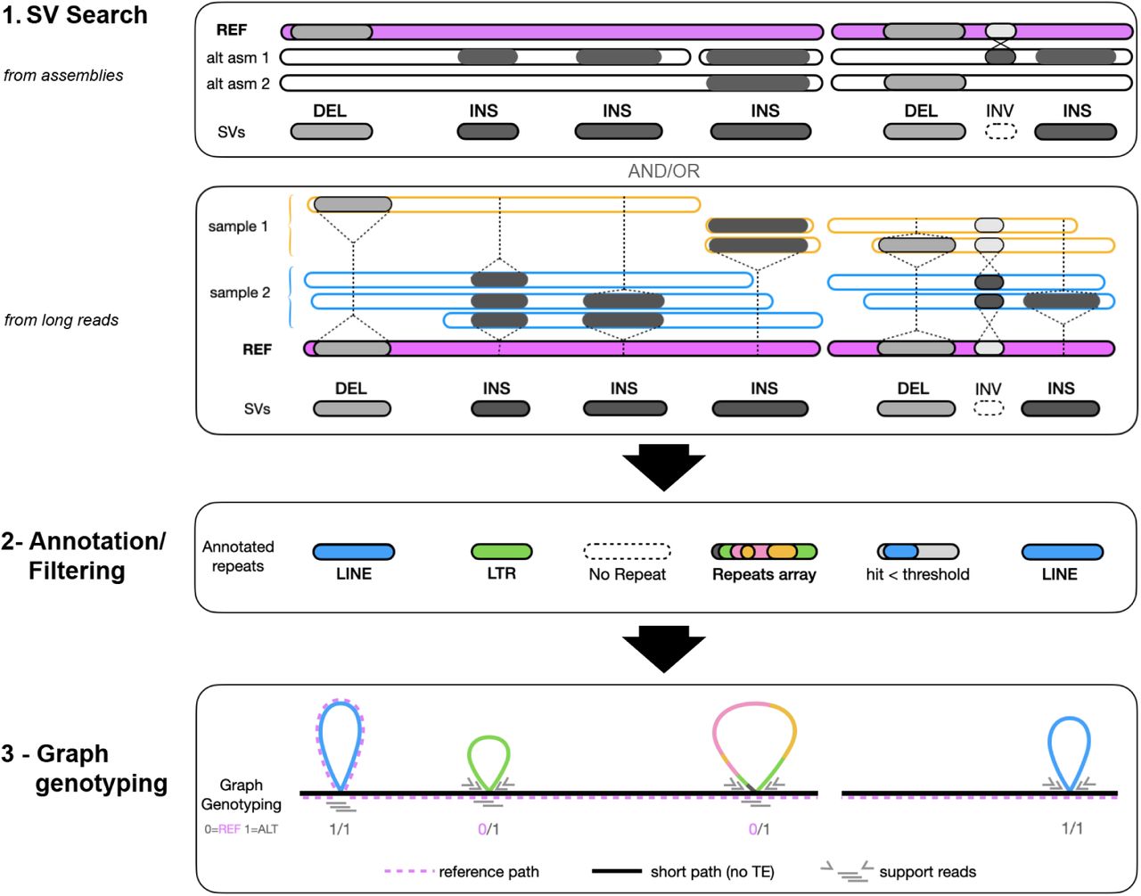 GraffiTE workflow. The pipeline is divided in three main steps: 1- SV search. Alternative assemblies (“alt asm”, upper box) and/or long-read sets (sample 1, sample 2, lower box) provided in input are aligned to a reference genome (represented in pink) with minimap2. Subsequently, SVs are searched with Svim-asm (from assemblies) or Sniffles 2 (long-read sets) and reported in a VCF file. Insertions (dark gray) and deletion (white) are then retained while other types of SVs (such as inversions) are discarded when using default settings. 2-Annotation/Filtering. SVs found in different individual assemblies or read-sets, and representing the same loci are merged with the software SURVIVOR. These are further filtered to retain variants which cumulate RepeatMasker’s hit over >80% of their length, based on a user-provided repeat library. 3-Graph genotyping. Based on annotation thresholds, likely pMEs are retained and a graph genome representing each as a bubble is generated (a.k.a.: TE-graph genome). The reference genome path in the graph (pink dashed line) can either skip (insertions) or include (deletions) a given pME. Finally, short-or long-read sets can be used to genotype each pME using graph aligners bundled in GraffiTE (see Table 1). Additional details are provided in Supplementary Figure 1.