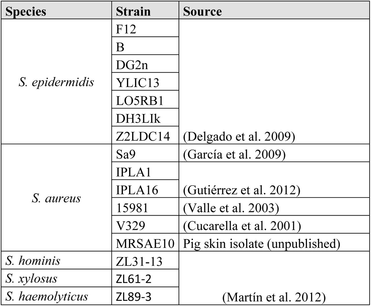Staphylococcal strains used in this work.