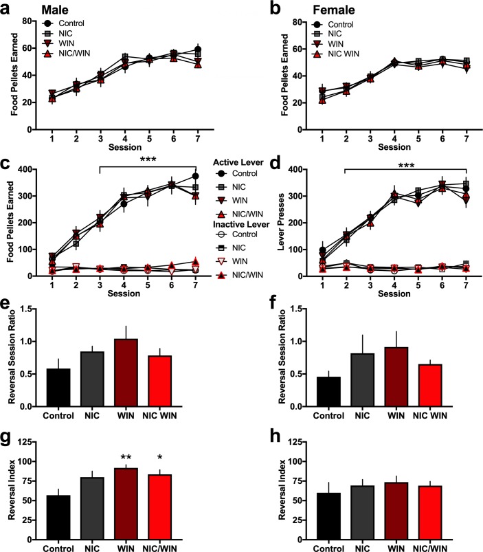 Operant learning and cognitive flexibility following adolescent exposure to nicotine and/or a moderate dose of the cannabinoid agonist in adult mice.(a) Male mice (n = 9-10/group) were examined for their ability to learn an operant task to obtain food reward. Groups did not differ in their number of food pellets earned across sessions. (b) Female mice (n = 7-9/group) were examined with operant food training, and differences were not found among groups in the number of food pellets earned across sessions. (c) The number of active and inactive lever presses was examined across sessions for all groups. Significant main and interaction effects were found with all groups exhibiting statistically significant preference for the active lever versus the inactive lever for sessions 3–7. ***p<0.0001 (d) Female mice also exhibited significant main and interaction effects for all groups when comparing number of active to number of inactive lever presses for sessions 2–7. ***p<0.0001 (e-h) In the cognitive flexibility assessment, mice were required to reverse their lever pressing behavior for the active and inactive lever. During the reversal session, the ratio of the number of active to inactive lever presses was derived (number active/number inactive). The reversal index was also calculated as a comparison to the baseline day of responding prior to the lever switch ((number active reversal session/number active baseline session)*100). (e) Male mice did not exhibit any group differences in the active:inactive ratio. (f) Female mice also did not exhibit any group differences in the active:inactive ratio. (g) For the reversal index, the male WIN and NIC/WIN groups exhibited increased lever pressing behavior on the reversal session, as evidenced by the higher reversal index for these groups compared to the control. **p<0.01 (h) Female mice did not exhibit any group differences in the reversal index. Data represent mean values ± SEM.