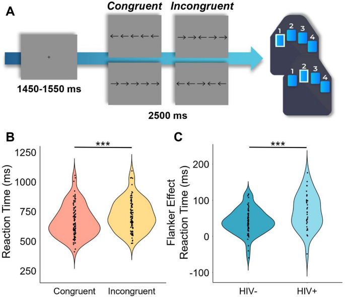 Experimental Paradigm and Behavioral Results. (A) An illustration of the flanker arrow paradigm. Each trial had a fixation period lasting on average 1500 ms (variable ISI: 1450–1550 ms) and a stimulus-presentation period lasting 2500 ms, which consisted of one of the four shown options. (B) Reaction time (in ms) across all participants is shown on the y-axis with condition on the x-axis. Across all groups, participants responded slower during incongruent relative to congruent trials (i.e., classic flanker effect; p = 2.22 × 10− 21). (C) Neither the main effects of cannabis nor HIV group were significant, but the condition-by-HIV group interaction was, and follow-up testing showed that PWH exhibited a larger flanker interference effect than seronegative participants (p =.007). ***p ≤.001