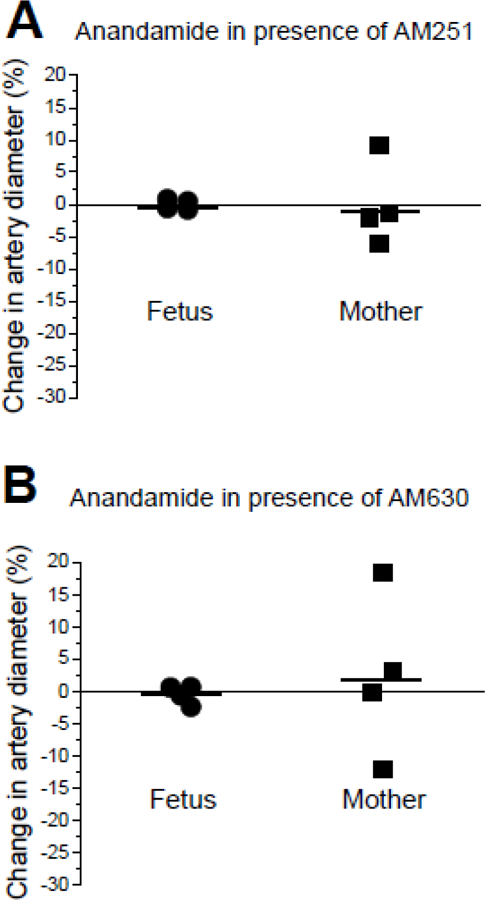 Anandamide-induced changes in artery diameter of alcohol-exposed fetal and maternal cerebral arteries in presence of CB receptors’ blockers.A. Scattered data of changes in artery diameter by 10 µM anandamide in fetal and maternal arteries from alcohol-exposed donors in presence of CB1 receptor blocker 1 µM AM251. B. Scattered data of changes in artery diameter by 10 µM anandamide in fetal and maternal arteries from alcohol-exposed donors in presence of CB2 receptor blocker 1 µM AM630.