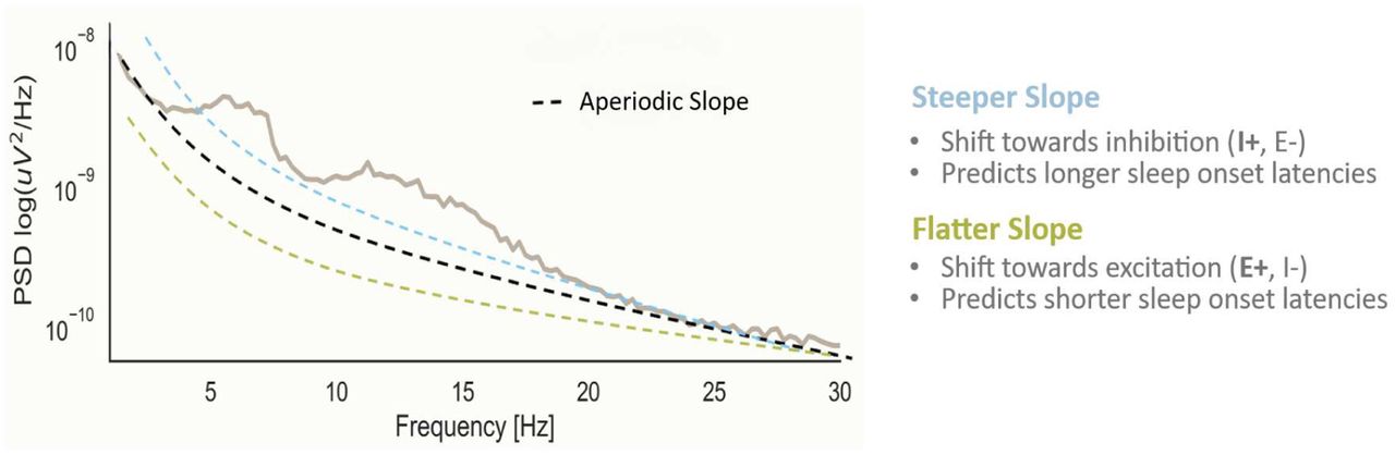 Illustration of the aperiodic slope and its hypothesized relationship to sleep onset latencyaThe graph plots the log-transformed Power Spectral Density (PSD) of an EEG signal against Frequency (Hz). A steeper slope (dashed blue line) indicates a shift towards inhibition (I+, E-) and is associated with longer sleep onset latencies. Conversely, a flatter slope (dashed green line) indicates a shift towards excitation (E+, I-) and predicts shorter sleep onset latencies.aFigure adapted from Dziego et al., 2024 (34)