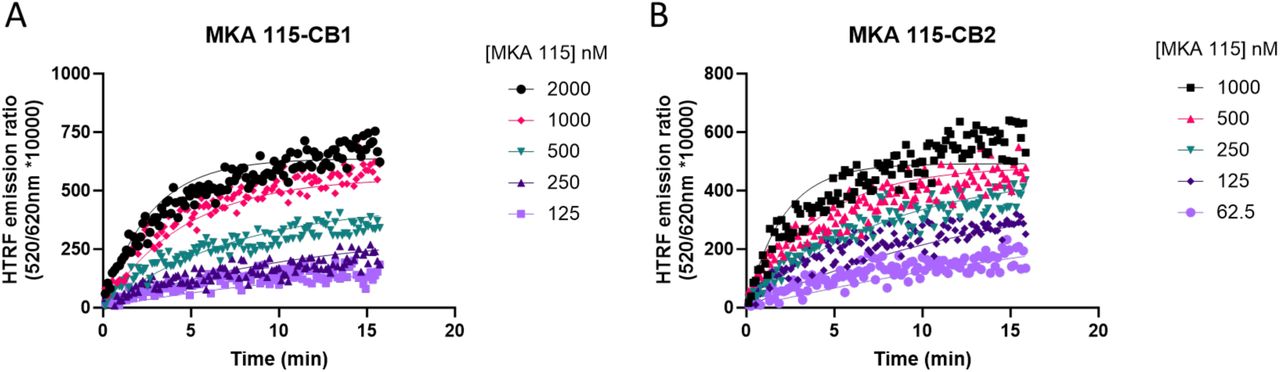 Example kinetic profile of a non-ideal nonselective cannabinoid probeKinetic association binding curves of the fluorescent cannabinoid ligand MKA 115 binding to (A) CB1R and (B) CB2R expressing membranes. Graphs are representatives of 3 independent experiments and show specific binding expressed as HTRF emission ratio.