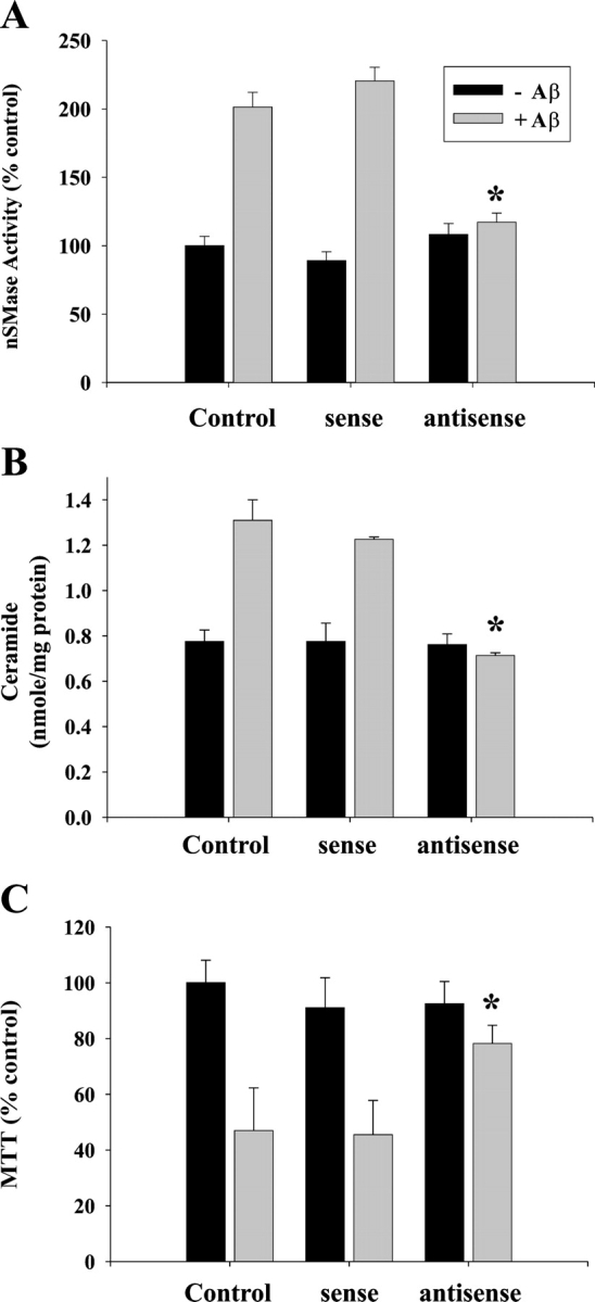 Treatment of OLGs with nSMase antisense oligonucleotides. OLGs were treated with sense or antisense oligonucleotides specific for nSMase 4 h before 20 μM Aβ addition. After 24 h, the cells were harvested and assayed for nSMase activity (A), ceramide content (B), and MTT (C). The graph depicts a representative of three separate experiments with similar results; error bars represent SD. *, Significant differences compared with Aβ treatment alone; P < 0.05.