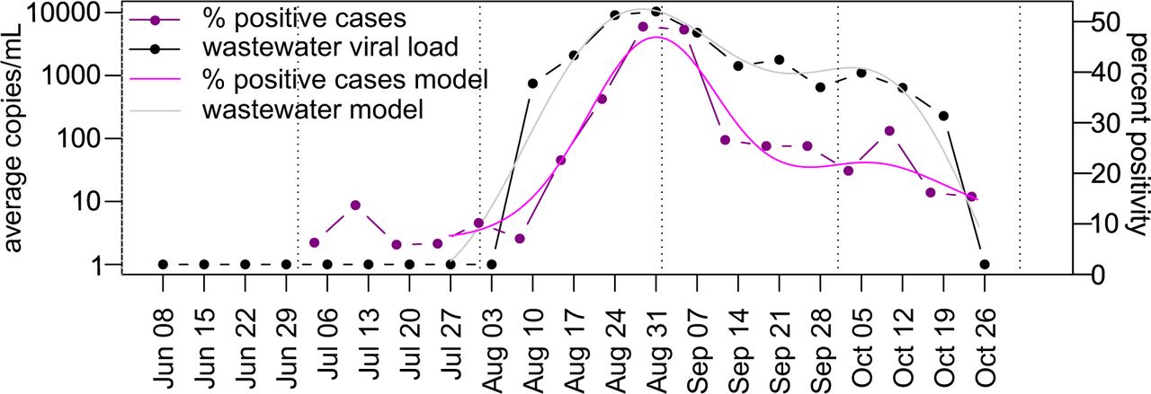 Trends of enteroviruses/rhinoviruses in clinical samples.Percent positivity at Flagstaff Medical Center between June and October 2022 compared to EV-D68 viral load in two City of Flagstaff wastewater treatment plants. Viral load was assessed with the D68-Detect assay. Dotted vertical lines indicate the 1st of each month.