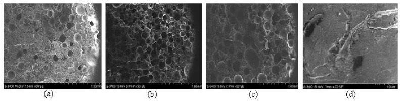 SEM analysis for a sample of the type: (a) Da 1.x. (b) Da 2.x. (c) Da 3.x. (d) epoxy resin.