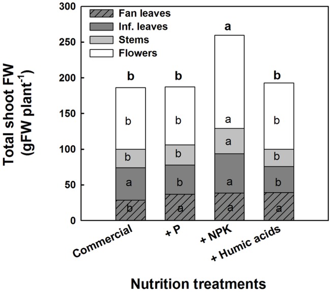 Effect of enhanced nutrition on fresh biomass of shoot organs (fan leaves, inflorescence leaves, stems, and flowers). Data are averages ±SE (n = 6). Different small letters above the bars, marked by bold, represent significant difference between treatments in “total shoot biomass.” Across plant part category (i.e., “Fan leaves”, “Inf. leaves”), different small letter inside a bars, represent significant differences within this plant part category, according to Tukey HSD test at α = 0.05.