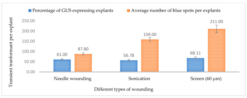 Effect of different wounding methods on transformation efficiency based on transient GUS expression. Infection frequency was calculated as the percentage of GUS-positive explants from 3-week-old leaves out of the total number of explants examined. The number of GUS foci per explant is the average number of GUS-positive foci in at least three independent explants. The data are represented as means ± standard error (SE). To optimize the individual parameter, each experiment contained 25 to 30 samples and each experiment had 3 replications (n = 75).