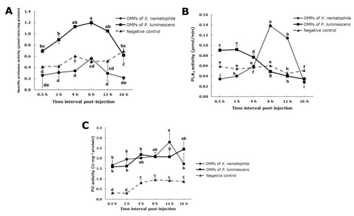 Changes in the patterns of humoral defense elements in fifth instar larvae of Spodoptera exigua after injection with outer membrane proteins of Xenorhabdus nematophila or outer membrane proteins of Photorhabdus luminescens, (A) protease, (B) phospholipase A2, (C) phenoloxidase. Each measurement consists of eight replications. The vertical bars represent the standard error of the means. Different letters above the error bars indicate a significant difference of interactive effect means between outer membrane proteins from the two bacterial species × interval times at α = 0.05 (Slicing test).