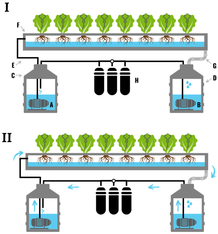 (I) A nutrient film hydroponic system comprised of two water pumps (A,B), two reservoirs (C,D), a watering line (E), a grow trough (F), a drainpipe (G), and a sterilization system (H). (II) Water is pumped from the storage reservoir, through the watering line, and down the grow trough where it runs around the roots of the plant. The nutrient solution then drains out of the grow trough, and is fed back to a central reservoir through the drainpipe. The nutrient solution is then filtered and sterilized to remove particulates and pathogens.