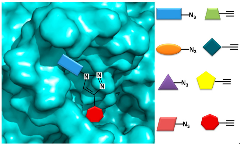 COX-2 inhibitor design using in situ click chemistry.