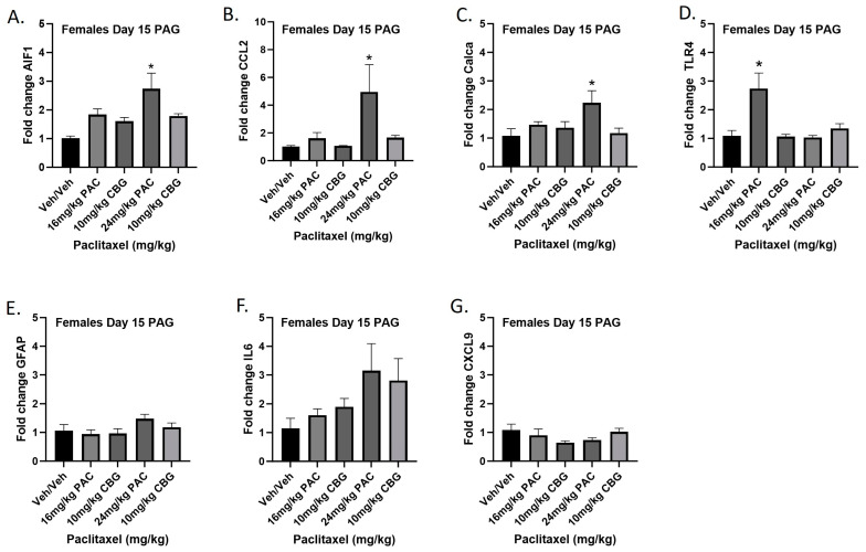 Prophylactic CBG administration prevents increased expression of inflammation and pain markers (A–G) in the PAG of female C57Bl/6 mice. Mice are treated with vehicle or CBG (10 mg/kg i.p.) 30 min prior to vehicle or paclitaxel (16 or 24 mg/kg i.p.) on Days 1, 3, 5, and 7 in a between-subjects design (n = 3–5/group). Mice are euthanized on Day 15, and PAGs are harvested for RT-PCR analysis. Results demonstrate that CBG administration prevented increased expression of Aif1, Ccl2, Calca, and Tlr4 associated with paclitaxel exposure. One-way ANOVAs with Dunnett’s multiple comparison tests; * = p < 0.05.