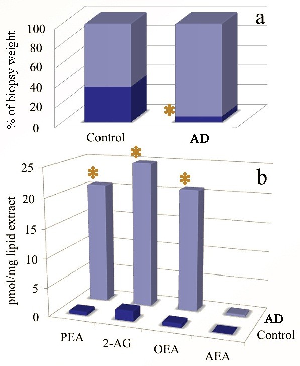 Bar graphs showing lipid extract quantification. a) lipid extract expressed as percent of biopsy tissue weight in control animals and dogs with atopic dermatitis; b) Quantification of different NAEs and 2-AG in control animals and dogs with atopic dermatitis. Asterisks indicate statistically significant differences (p < 0.05); AD = Atopic dermatitis.