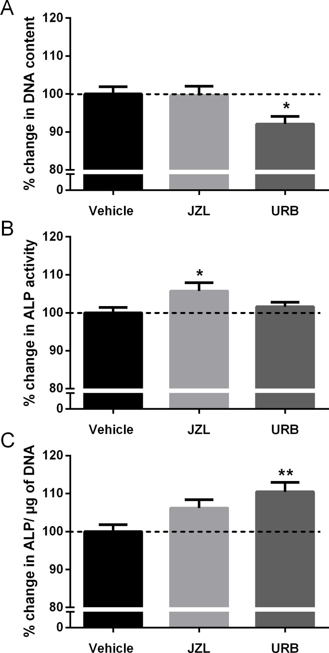 Effect of FAAH and MAGL inhibitors on HOB proliferation and differentiation.(A) DNA content of cells treated with 1μM JZL184 hydrate (JZL, a MAGL inhibitor) and 1μM URB597 (URB, a FAAH inhibitor) for 24 hours. (B) ALP production of treated cells, and (C) ALP production normalised to DNA content. Values are expressed as a percentage of the vehicle, dotted line at 100%. Data given as mean ± S.E.M., n = 8, from 2 experiments. * P<0.05, ** P<0.01; one—way ANOVA with Dunnett’s multiple comparisons test.