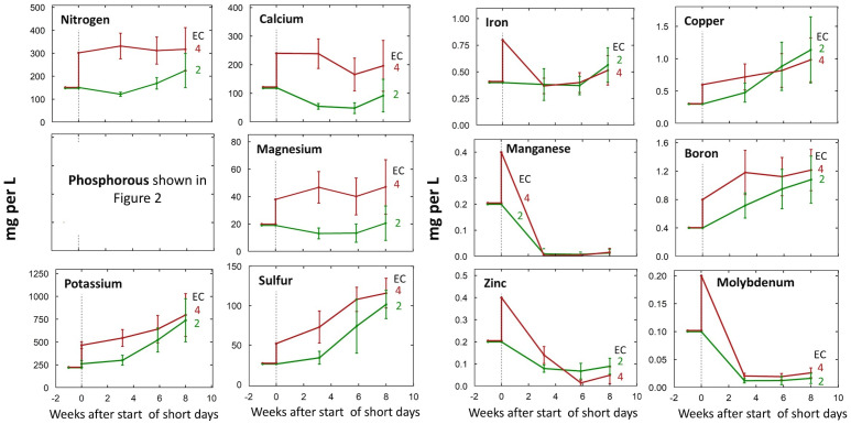 Change in individual nutrient solution concentrations over the eight-week life cycle at input EC’s of 2 or 4 mS per cm. All concentrations are shown in mg per L (ppm) of the element. Treatments were started at the transition to short days (week zero). Each data point represents the average of the three P treatments within each EC treatment (n = 3). Error bars represent standard deviation.