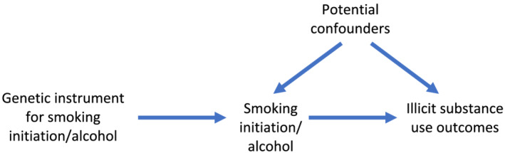 Bidirectional two‐sample Mendelian randomization between smoking initiation/alcohol consumption and illicit substance use outcomes. A directed acyclic graph (DAG) for the causal effect between smoking initiation/alcohol consumption and illicit substance use outcomes. Evidence of a causal effect in the other direction may indicate a bidirectional effect or a common underlying risk factor
