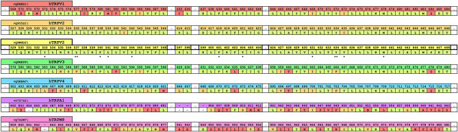 A truncated version of the human sequence alignment of six ionotropic cannabinoid receptors and rTRPV2. CBD has been resolved in rTRPV2 in two separate states and residues within 10 Å of the putative binding site of CBD have been highlighted and are shown here as a reference (yellow row). Comparable regions within the human ionotropic cannabinoid receptors have been aligned. Residues within hTRPV1 (red row), hTRPV2 (orange row), hTRPV3 (green row), hTRPV4 (blue row), hTRPA1 (purple row), and hTRPM8 (pink row) that are the same as the reference (rTRPV2) are shown in pale green. Residues that are of a similar type to the reference are shown in orange, and divergent residues are shown in red. The double starred residues, L537 and Y634, indicate the two residues that were noted to have rotameric changes from the apo to the CBD-bound structure of rTRPV2 and are visualized in Figure 2. Single starred residues are within 5 Å of bound CBD and are marked for easy vertical comparison across the ionotropic cannabinoid receptors.