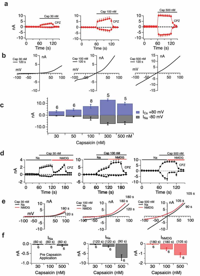 Two state nature of TRPV1. Panels A-D.Dose-dependent attainment of pore-dilated state by TRPV1 in response to Capsaicin. A. Current development over time with the indicated Capsaicin doses. B. Extracted I/V curves showing transition from rectifying to non-rectifying state with increasing dose/current amplitude. C. Histogram summary of inward and outward current portions per dose. Histogram data confirm that linearized I/V relationship corresponds to pore-dilated state by demonstrating increased Na current amplitude. Current development relationships (D) suggest some pore-dilation (NMDG sensitivity) even at the lowest Capsaicin doses. Current/voltage relationships (E) and I max histograms for sodium and NMDG permeation (F) illuminate the distinct states.