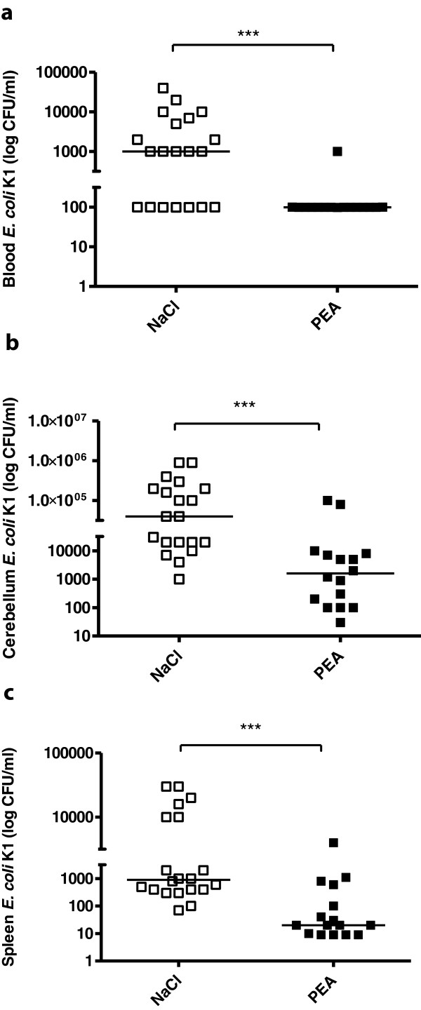 Bacterial concentrations in spleen, blood and cerebellum after intracerebral infection. Bacterial concentrations (CFU/ml) in blood (a), cerebellum (b) and spleen (c) 24 hours after intracerebral E. coli infection. Statistical analysis was performed by Mann–Whitney U-test. Data are shown as individual measurements and medians (***P < 0.001).