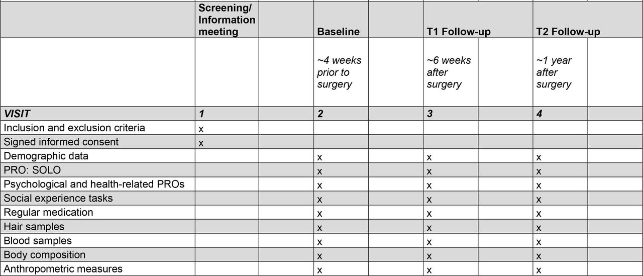 Patient visit schedule
