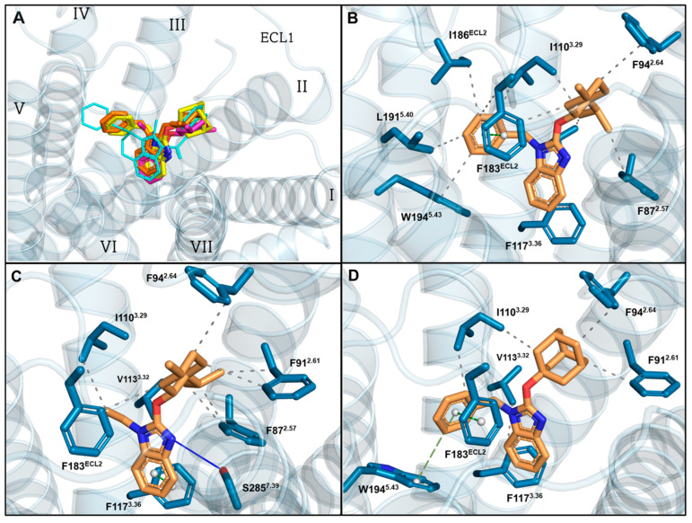 Binding modes of reported compounds docked in CB2 receptor orthosteric pocket. (A) Superposition of compounds 5, 6, 16 with WIN55212-2; (B) binding interactions established by compound 5; (C) compound 6; and (D) compound 16 within the orthosteric pocket of CB2 receptor. Transmembrane domains I–VII.